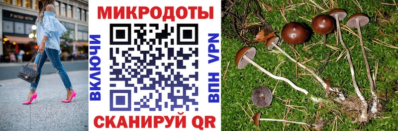 хочу   Любань  Псилоцибиновые грибы MAGIC MUSHROOMS 